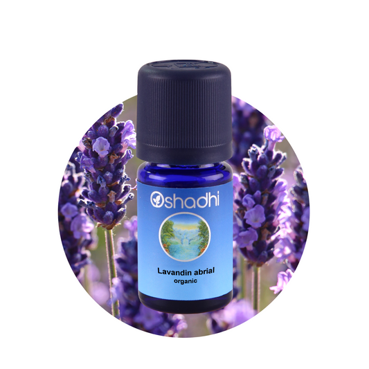 LAVANDIN abrial organic lavender essential oil