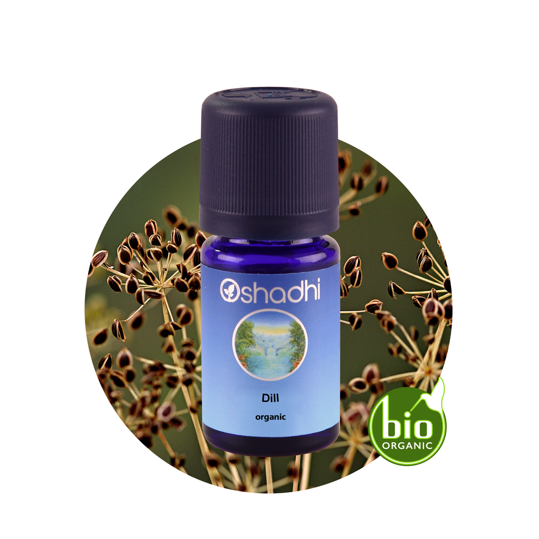 DILL <br> Krapų eterinis aliejus <br> Anethum graveolens