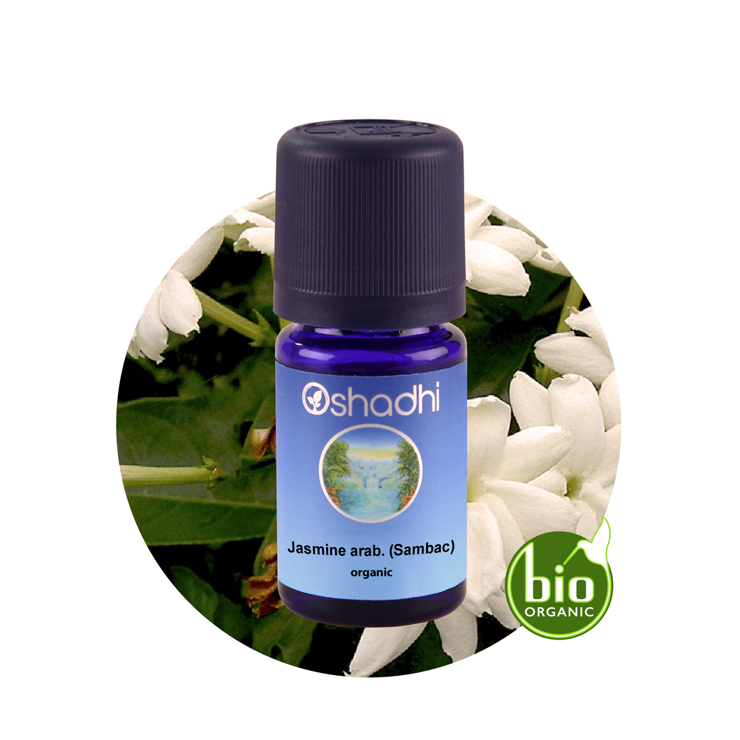JASMINE <br> Jazminų absoliutas <br> Jasminum sambac