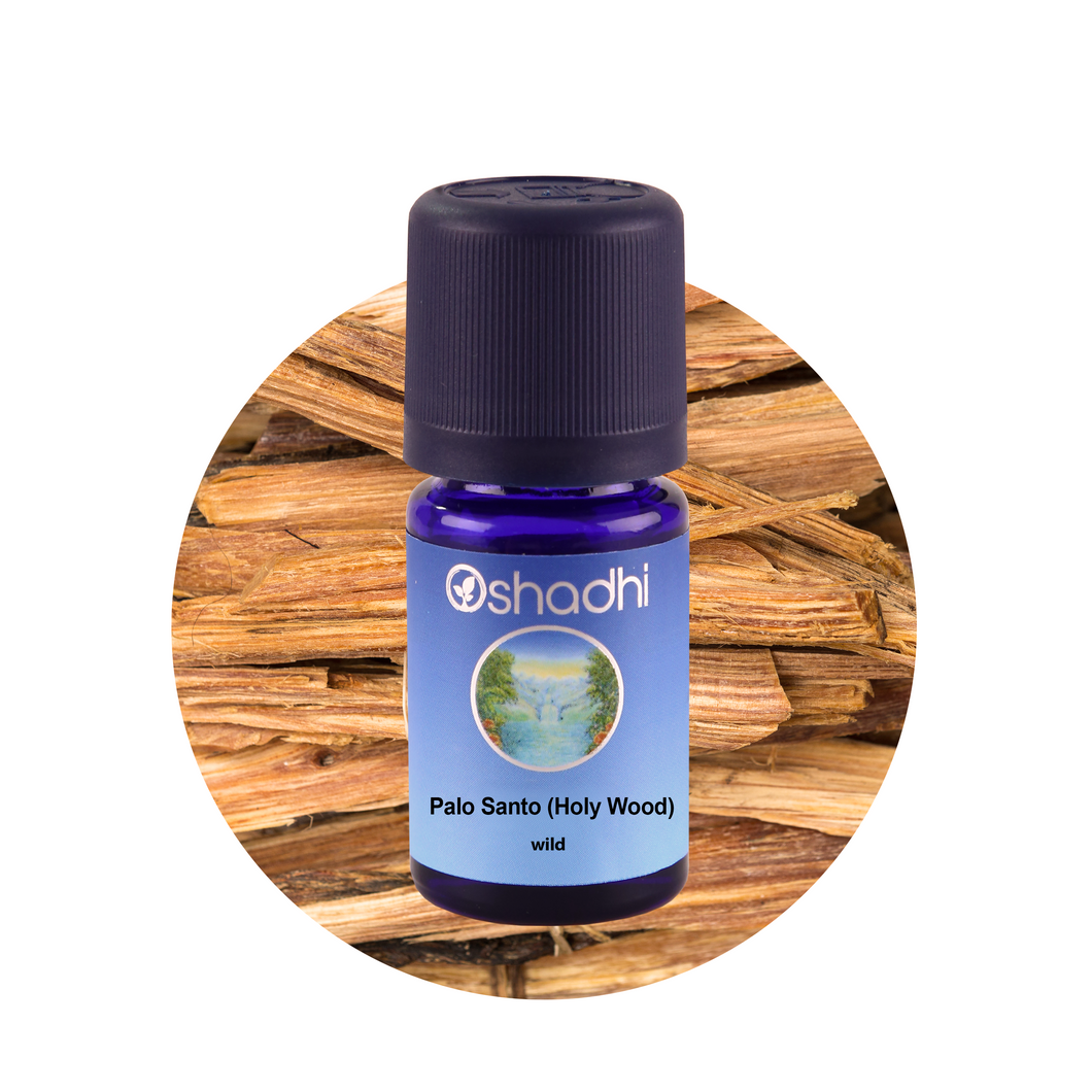 PALO SANTO (HOLLY WOOD) <br> Palo Santo eterinis aliejus <br> Bursera graveolens