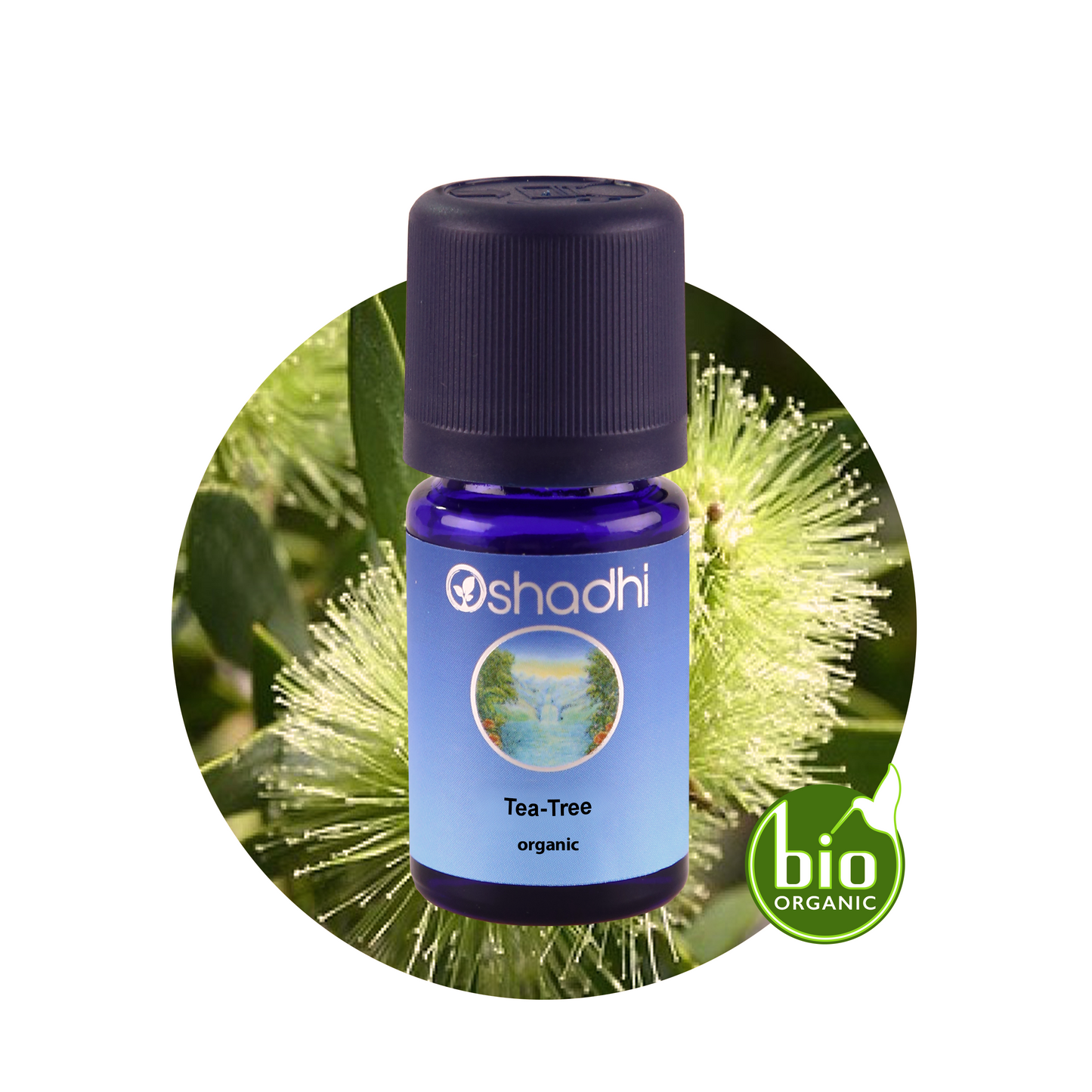 TEA-TREE Tea tree essential oil Melaleuca alternifolia